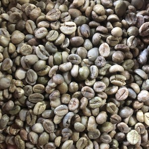 Granos de Café Crudo de Buena Calidad, Granos de Café Vietnamita de Fábrica, 18 Bolsas a Granel Limpias y Naturales, Estándar de Exportación, Baja Tasa de Defectos - Product Image 2