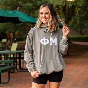 Sudadera Personalizada de Tela de Rizo para Hermandades, Venta al por Mayor, Ropa Urbana, Gimnasio, Club, Escuela, Universidad, Equipo Deportivo, Sudadera Griega - Product Image 1