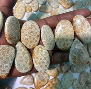 Coral Fósil Natural, Cabujón de Cristal Pulido, Gemas Minerales de Alta Calidad, Formas Mixtas, Materiales a Granel para la Fabricación de Joyería - Product Image 2