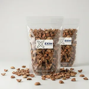 Nueces de Areca Premium Seleccionadas 1 Kg en Bolsa Doypack, Nuez de Betel Entera Seca Pura para Comercio Internacional - Product Image 2