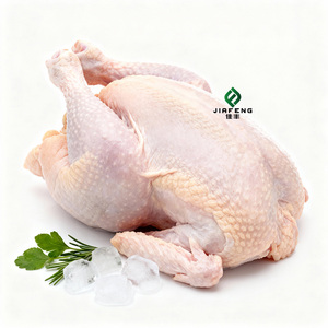 <span class=keywords><strong>Pollo</strong></span> <span class=keywords><strong>Entero</strong></span> Congelado Exportado de Primera Calidad, en Oferta al por Mayor, IQF, con Piel y Hueso, Bajo Contenido de Agua - Product Image 1