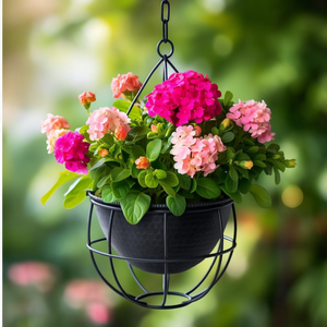 Jardinière suspendue en métal, cage en fer avec pot intérieur et chaîne, noir oxydé, 24 cm, pour fleurs d'intérieur - Product Image 3