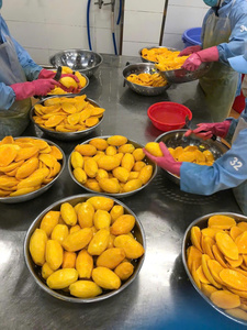 มะม่วงแช่แข็งแบบสุญญากาศ LQF จากเวียดนาม โรงงานได้รับการรับรองมาตรฐาน HACCP - Product Image 4