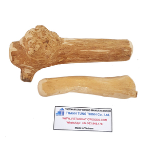 FSC-Certificated Natural Classic Dog Chew Stick Bone-shaped Coffee Wood Eco-Friendly Non-Toxic Halloween <b>Pet</b> <b>Toy</b> Made in Vietnam - Product Image 4