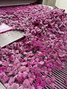 Premium Quality IQF Frozen Red Dragon Fruit <b>Dices</b> For Export High Nutrient Natural Pitaya Chunks Bulk Supply - Product Image 6