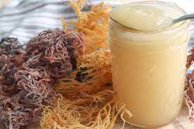 Hebras de Musgo Marino Natural EXPAD de la Costa de Vietnam, 100% Puro, 250g - Product Image 2