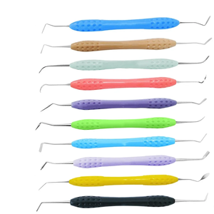 Instrumentos de Resina Compuesta para Rellenos Dentales, Kit Restaurador Manual Quirúrgico con Mango de Acero y Silicona, Certificado CE, Garantía de por Vida - Product Image 6