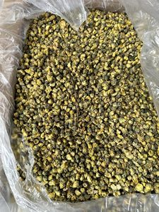 Proveedor de Fábrica en Vietnam de Flores de Manzanilla Secas para Té Herbal, Venta al Por Mayor, Fabricante y Exportador - Product Image 3