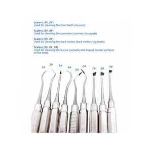 dental scaler stainless steel - Product Image 2