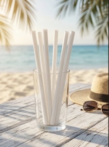 Pailles compostables en PLA en gros |   Pailles à boire sans plastique pour les restaurants - Product Image 1