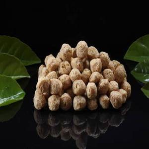 Nueva Temporada de Trozos de Proteína de Soya Texturizada India para Cocina Vegetariana, Empaque a Granel y Distribución Internacional de Alimentos - Product Image 1