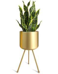 Support de plante en métal Casa De Amor pour salon, grand support à plantes pour escalier, grande étagère pour jardin domestique, noir - Product Image 1