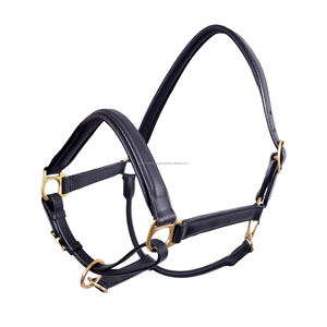 El mejor producto Halter Top de cuero de calidad superior en accesorios para caballos - Product Image 1