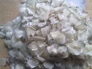 Écailles de poisson du Vietnam, matière première de haute qualité pour la production de collagène - Product Image 5