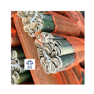 Tubo de Bambú Entero Premium de 50 cm, 5-6 mm de Diámetro, Ecológico, No Tóxico, de Ho Chi Minh City, por Blue Lotus Farm - Product Image 1