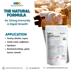 Tecnología Moderna para la Cría de Ganado, Aditivo Probiótico en Polvo para Suplementos Alimenticios - Product Image 4