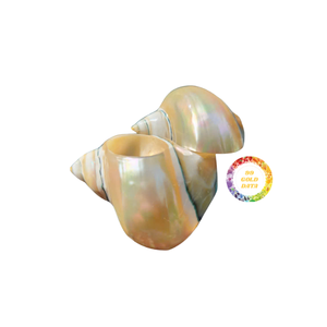 Anneaux de serviette en coquillage véritable personnalisables pour planificateurs de mariage côtiers, traiteurs et designers d'intérieur pour l'exportation en vrac - Product Image 2