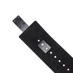 Nouvelle Arrivée Ceinture de Soutien Dorsal pour Musculation et Fitness, Logo Personnalisable, pour Haltérophilie et Gym - Product Image 5