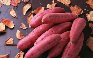 Mejor Precio, Batata Orgánica Congelada IQF al Vapor para Smoothies, Repostería y Cocina, Premium, Lista para Comer, 1 kg x 10 Bolsas - Product Image 5