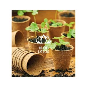 Très demandé : Pot en fibre de coco de provenance éthique pour l'approvisionnement mondial de détail et ornement intérieur élégant pour la décoration de salons de luxe - Product Image 1