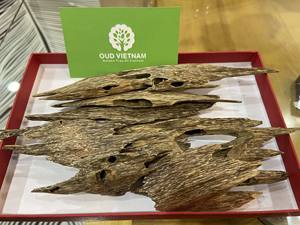 Chip Oud de madera de hormiga de alta calidad especial de Vietnam AOW2 fragancia para el hogar fuerte olor dulce doble cena Bakhoor de larga duración - Product Image 3