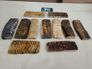 Piezas de Cuerno de Carnero Natural Premium para Fabricación de Mangos de Cuchillos, Material de Calidad para Exportación a Granel - Product Image 2