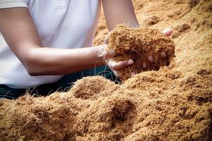 Coconut <b>Coir</b> Peat <b>Block</b> Biodegradable Ready to Use High Water Retention Low EC for Garden Agriculture Plant Growing - Product Image 4