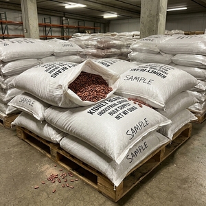 Frijoles Rojos Pulidos Seleccionados de Grado Industrial para Exportación, para Importadores Mayoristas, Clasificación Limpia, Empaque Seguro - Product Image 6
