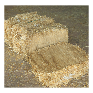 Haute qualité en sac fourrage séché haché paille de blé foin protéine pour ferme bétail cheval cochon chameau-vente en gros - Product Image 2