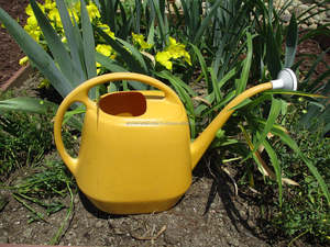 Arrosoir de jardin enduit de poudre jaune de conception simple Pot de service d'eau de fleur pour les fournisseurs de décors de jardin - Product Image 2