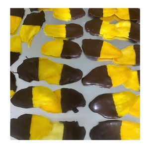 Proveedor de Mango Deshidratado Cubierto de Chocolate de Origen Vietnamita, Snack de Fruta Premium - Product Image 5
