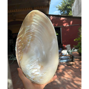 Premium Wholesale Yellow/<b>White</b> Shell Jewelry Tray with Elegant Gold Accents and Authentic Vietnamese Craftsmanship - Product Image 6