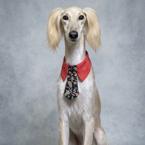 Corbata de Seda Premium para Perro, Técnica Tango-Chirimen, Tejido Texturizado de Alta Gama, Disponible en Negro y Rojo (S) (M) (L) (XL) - Product Image 2