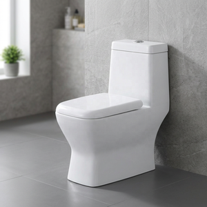 Ensemble complet de toilettes monobloc en céramique à double chasse, à poser au sol, pour projets de salles de bain modernes d'Asie - Product Image 4