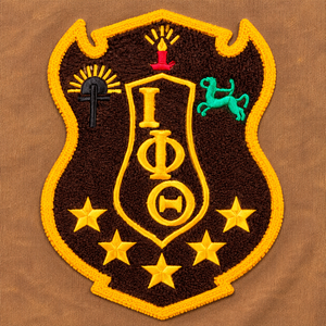 Camiseta Iota Phi Theta marrón lavada para hombre, manga corta, cuello redondo, escudo bordado, efecto vintage, camiseta informal de algodón cómoda - Product Image 6