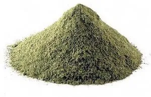 Poudre d'Andrographis Paniculata de qualité supérieure, poudre d'herbe verte Chiretta pour le soutien de la santé, matériau végétal naturel à base de plantes - Product Image 2