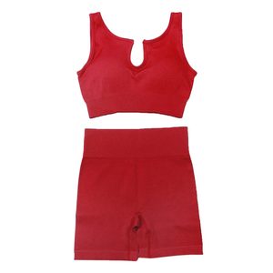 Conjunto Deportivo de 2 Piezas Reversible de Alta Calidad Personalizado para Mujer, Talla Grande, Sujetador Deportivo para Correr, Leggings de Gimnasio para Yoga - Product Image 5