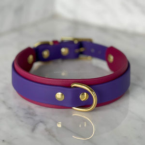 ปลอกคอสุนัขหนังนิ่มงานทำมือพร้อมอุปกรณ์ทองเหลืองขายส่งผู้ผลิตและจัดจำหน่ายทุกขนาด - Product Image 4