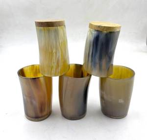 Ensemble de verres à shot en corne de buffle, style américain, avec mini-verres à bière en grès - Product Image 4