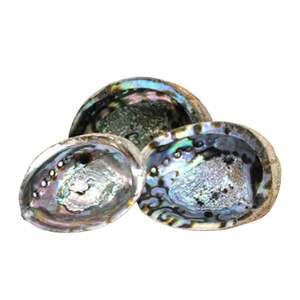 Quality Vietnam abalone shells for fine jewelry inlay luxury <b>watch</b> dial manufacturing colorful iridescent mother of <b>pearl</b> - Product Image 3