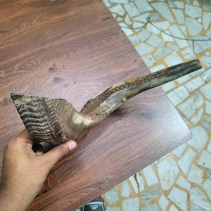Shofar en corne de bélier de qualité supérieure, fait main, corne naturelle, instrument de cérémonie juive pour Rosh Hashanah, Yom Kippur, culte religieux, prière - Product Image 2