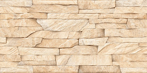 Carreaux muraux Premium Choice de qualité supérieure, carreaux d'élévation Asia Tiles 300x600mm pour articles de santé. - Product Image 3