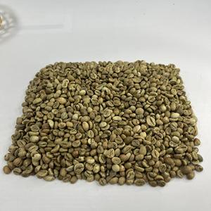 เมล็ดกาแฟโรบัสต้า จัดส่งได้สม่ำเสมอสำหรับการส่งออก ลูกค้าทั่วโลก ความสุก 95% พร้อมสำหรับบรรจุภัณฑ์แบบกำหนดเอง การส่งออก และการจัดหาสำหรับร้านค้าที่คั่วกาแฟ - Product Image 1