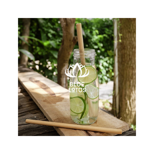 BEST-SELLER – Pailles en bambou réutilisables et jetables, écologiques, hautement recommandées, ensemble de pailles de qualité supérieure avec accessoires de nettoyage - Product Image 1