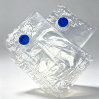 Sac BIB transparent avec bouchon à valve de 1L à 20L, qualité alimentaire, anti-fuite, pour sirop, crème, purée de tomates, purée de fruits, boissons