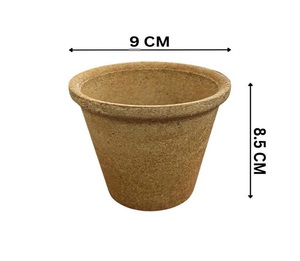 Rice Husk Fiber Disposable <b>Cups</b> 250ml Eco Friendly Compostable Drinkware for Tea Coffee <b>Cold</b> Beverage Serving Use - Product Image 5