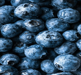 Extracto de Arándano TW PDRN 10 Ppm, Polinucleótido Derivado de Plantas, Materia Prima Cosmética de Alta Pureza, Ingrediente Antienvejecimiento KR - Product Image 3