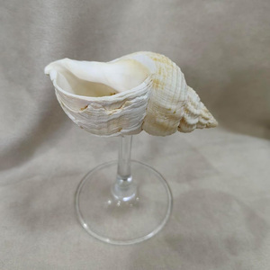 Vasos de cóctel con conchas marinas para decoración de bodas, buen precio, para eventos y fiestas. - Product Image 3