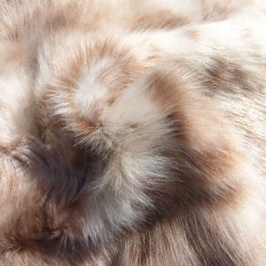 Tapis en cuir de vache véritable, peau de vache naturelle, pour la décoration intérieure - Product Image 3