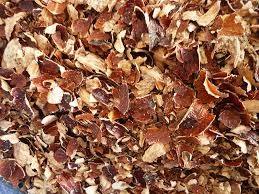 Cáscara de Anacardo de Vietnam – Material Combustible Natural, Fuente de Energía Biomasa Ecológica // Sr. Tom - Product Image 3